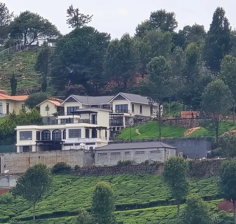 The Adar Estate by Sonia Gehlot